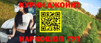 шишки Лесосибирск
