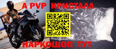 шишки Лесосибирск