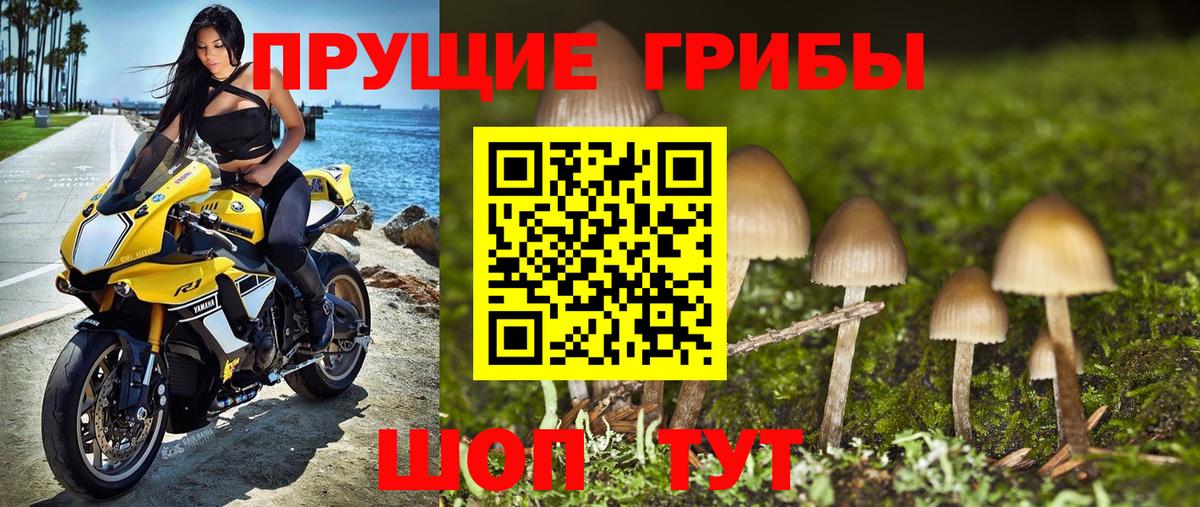 Гусев  Галлюциногенные грибы мицелий  Вход с VPN  что такое наркотик  Псилоцибиновые грибы Psilocybine cubensis 